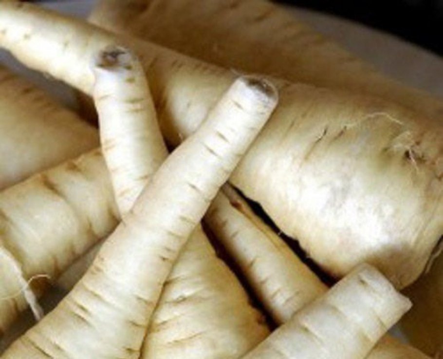 Пастернак овощ