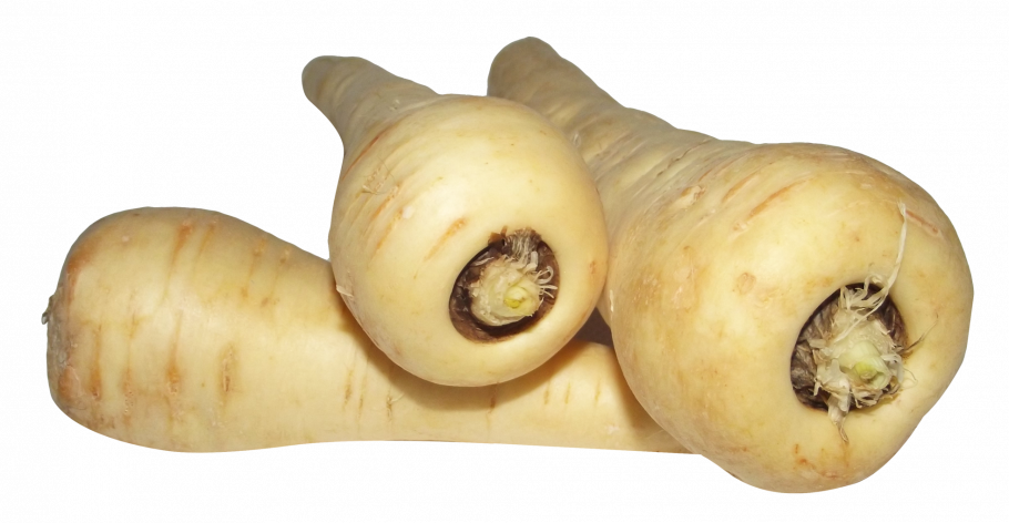 Корнеплоды на прозрачном фоне