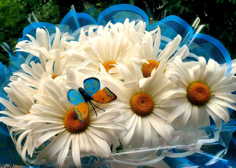 Трогательные цветочки