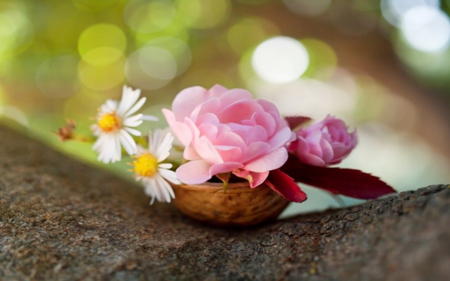 Многая и Благая лета