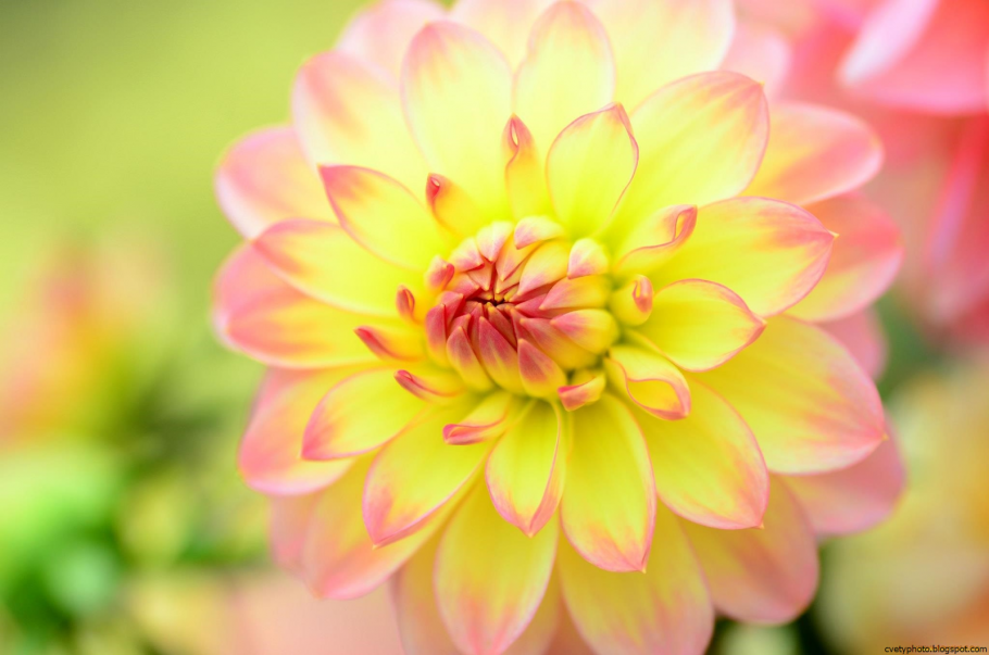 Утренние пожелания