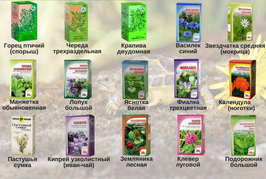 Лекарственные растения и продукты пчеловодства Донцова