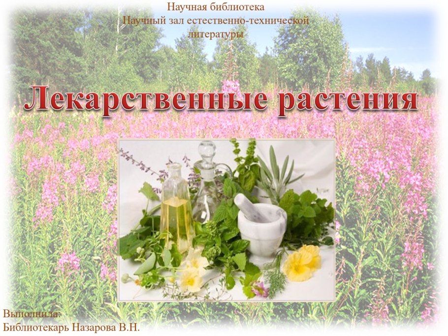 Иллюстрации дикорастущих лекарственных растений