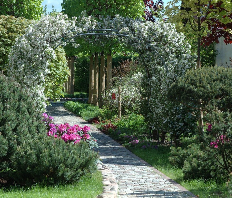 Клумба с плакучей яблоней