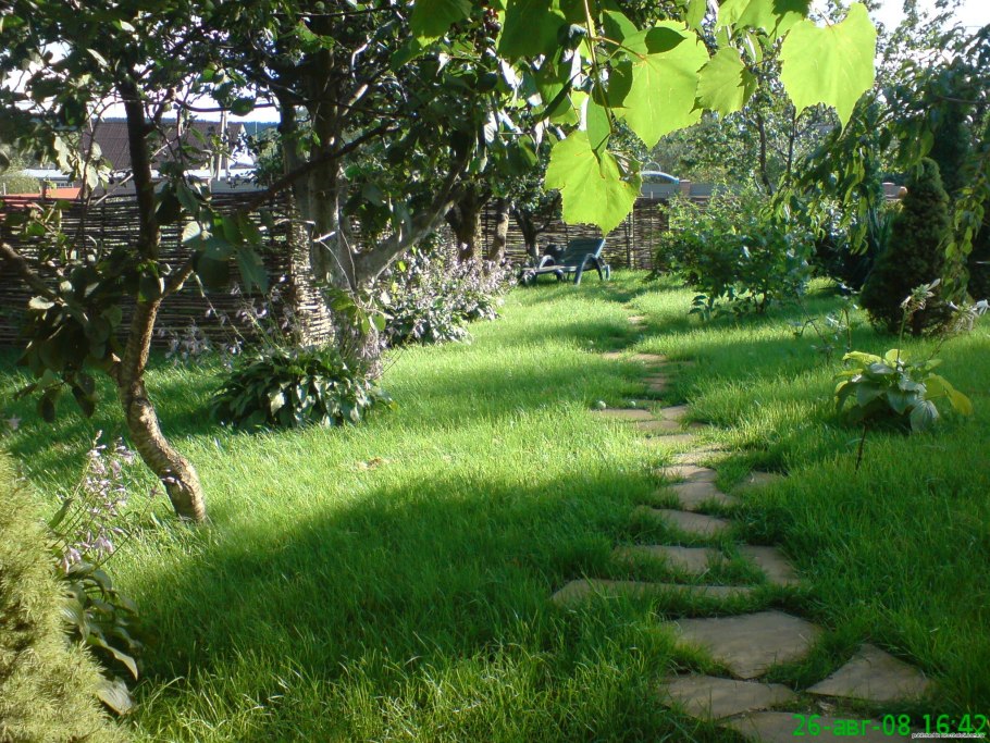 Плодовый сад на даче