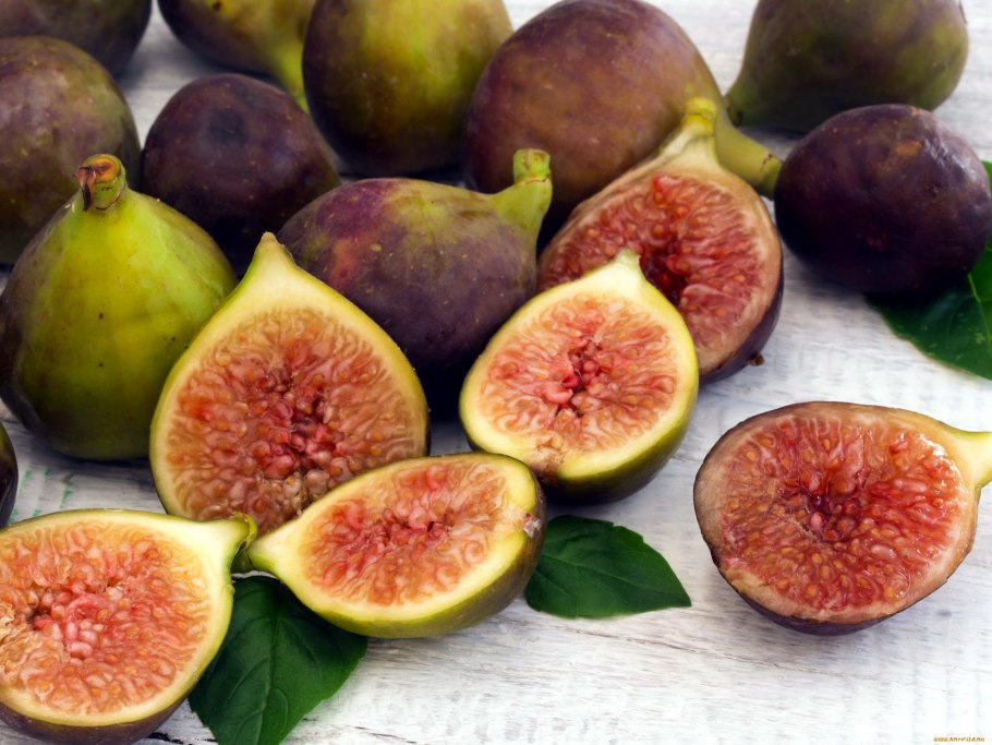 Фѝкус Карика, инжир – Ficus carica