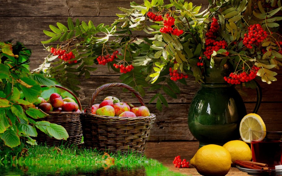 Натюрморт с фруктами на природе