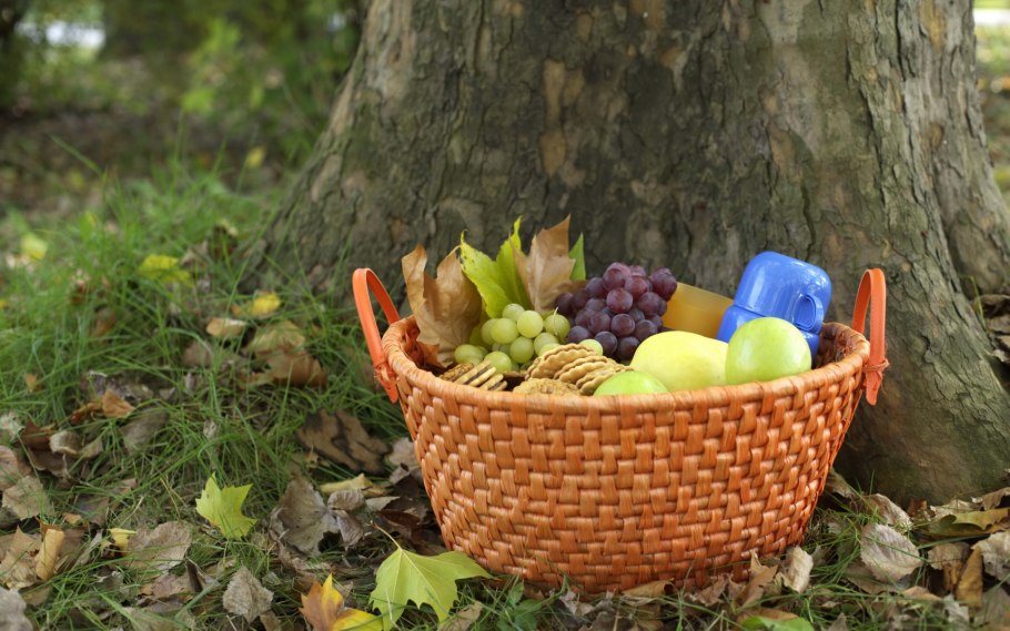Корзинка для пикника на природе