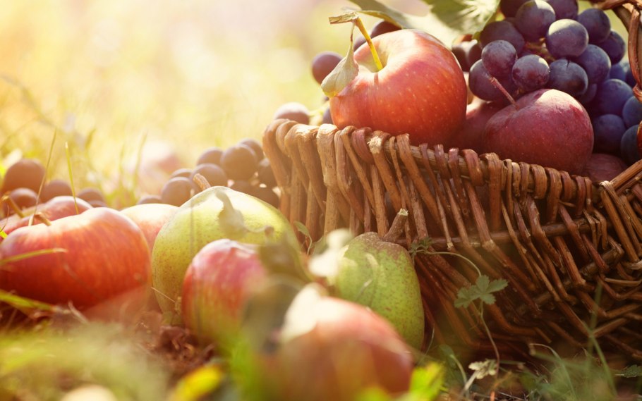 Плоды осени