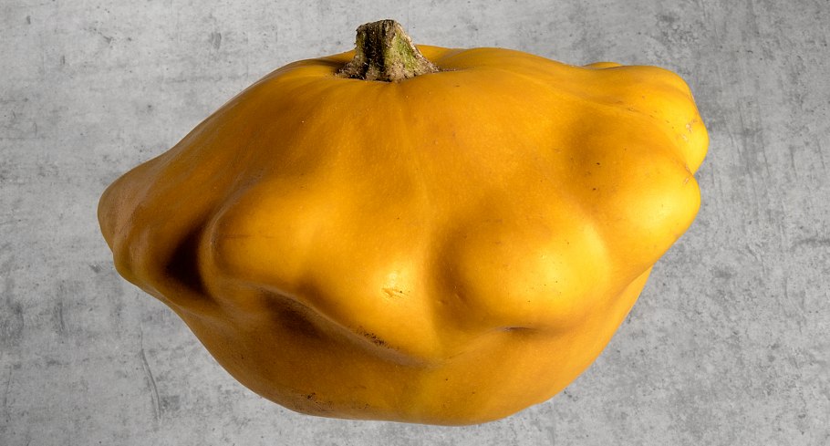 Патисон или патиссон