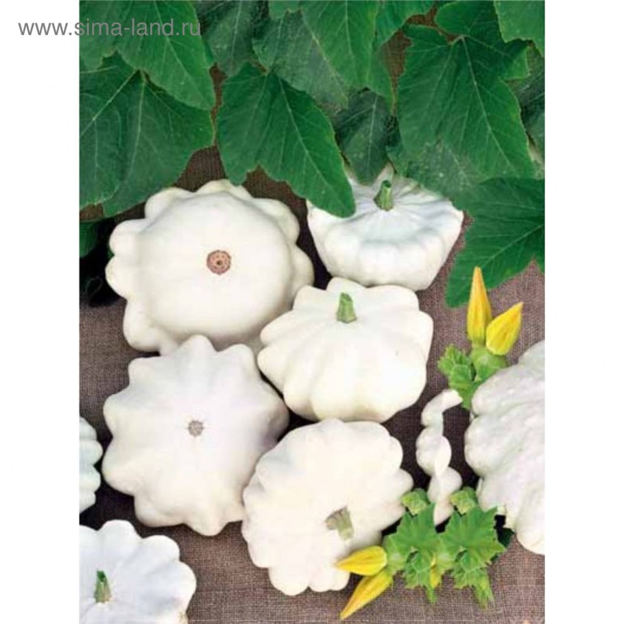 Патиссон Белоснежка 1г СЕДЕК