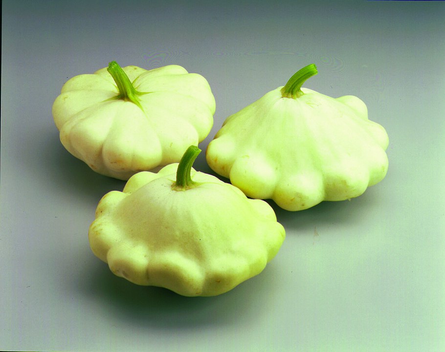 Патиссон Санни Делайт f1