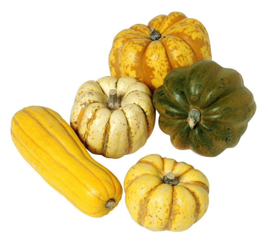 Тыква патиссон