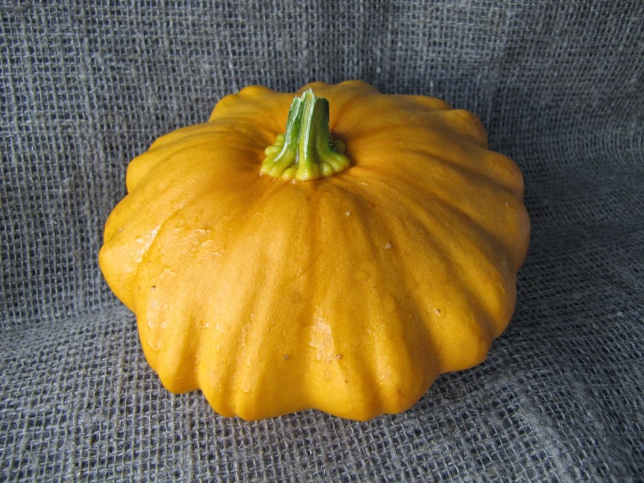 Патисон или патиссон