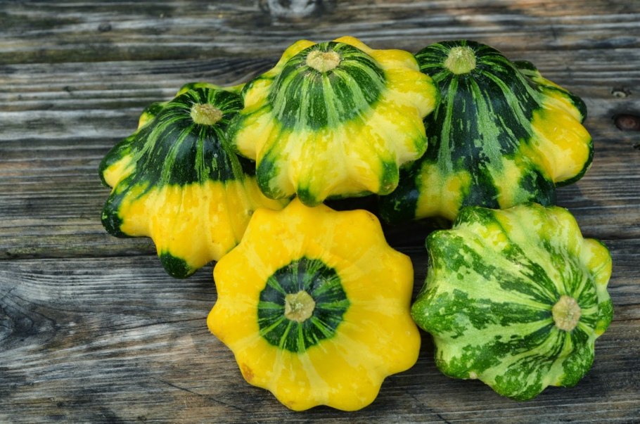 Тыква патиссон