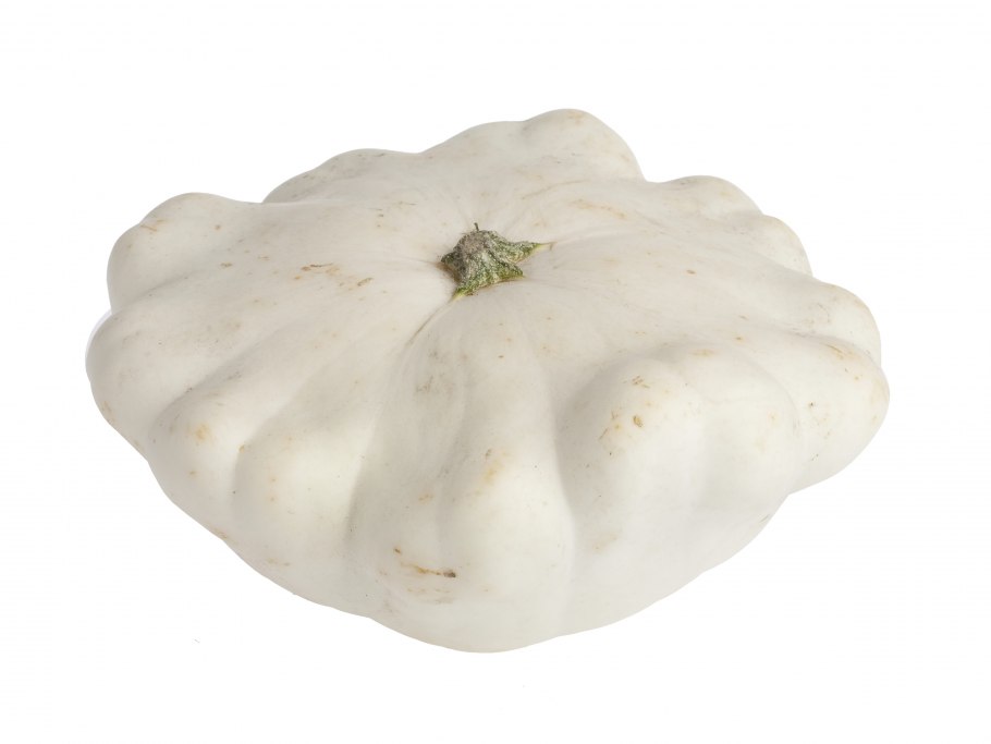 Паттинсон овощ патиссон