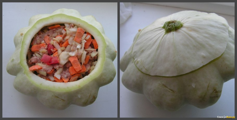 Патиссон в разрезе