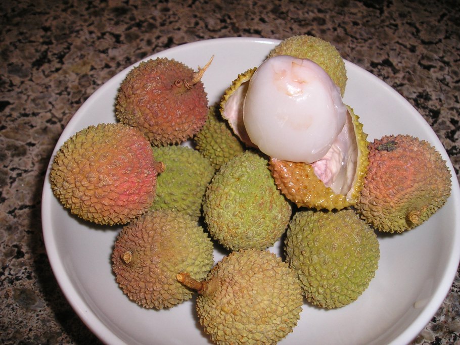 Плод райское яблоко