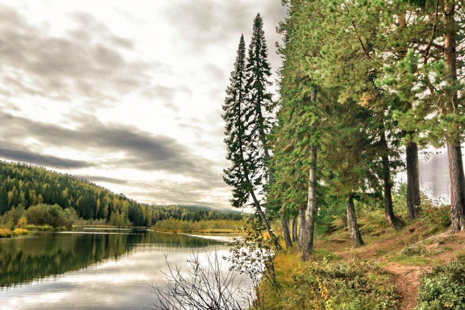 Северный Урал лес