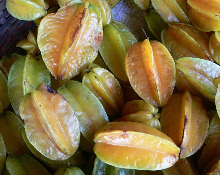 Аверройя карамбола