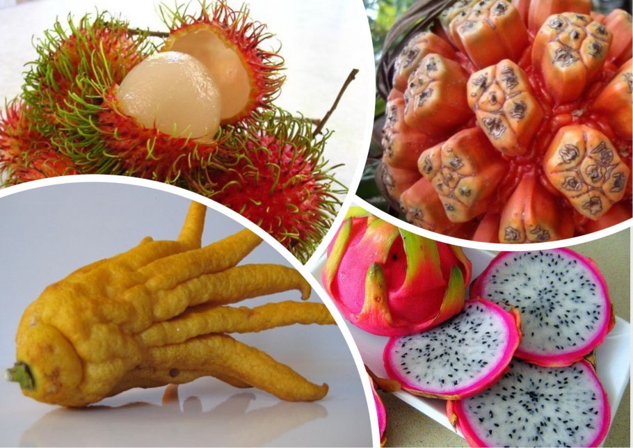 Разные экзотические фрукты вместе н базаре