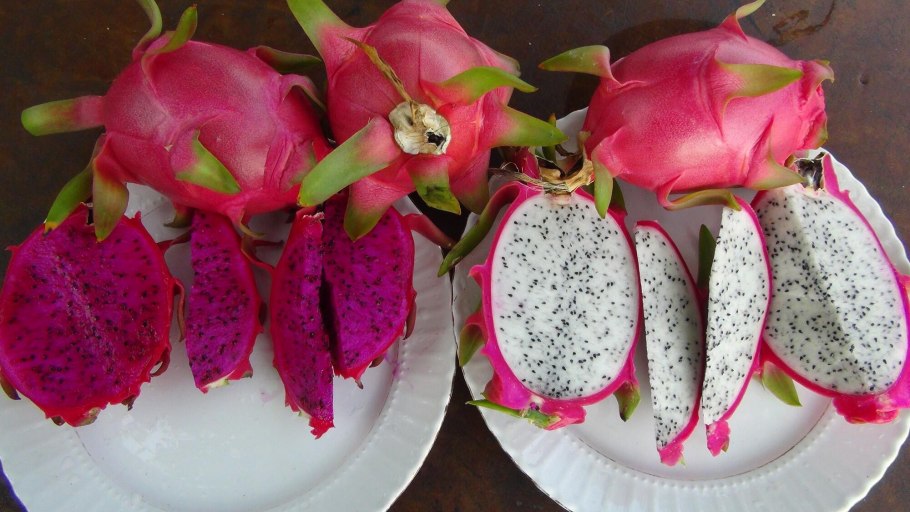 Турецкие фрукты названия питайя