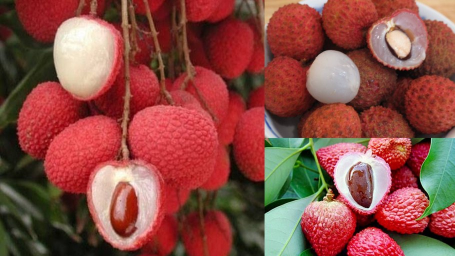 Fresh Lychee
