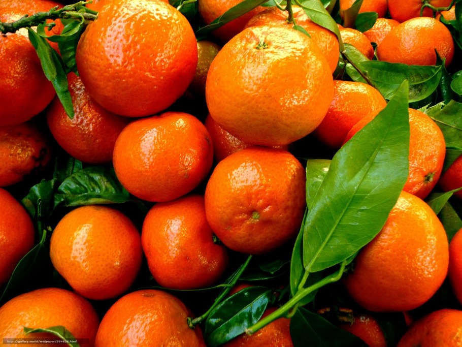 Красный гранат фрукт