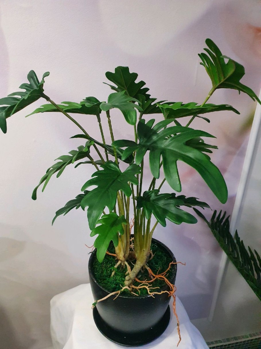Филодендрон растение искусственное