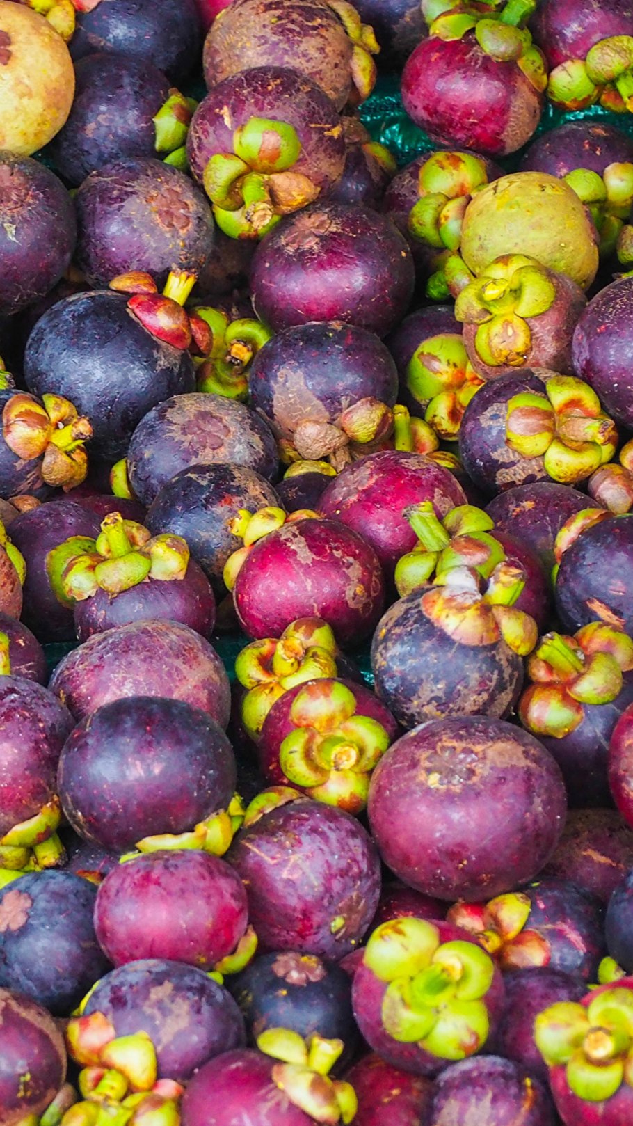 Тропический фрукт мангустин