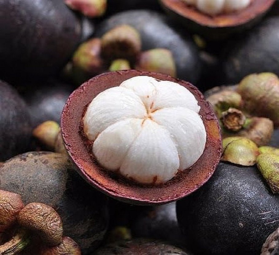 Экзотические фрукты мангостин