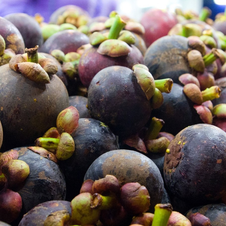 Тропический фрукт мангустин