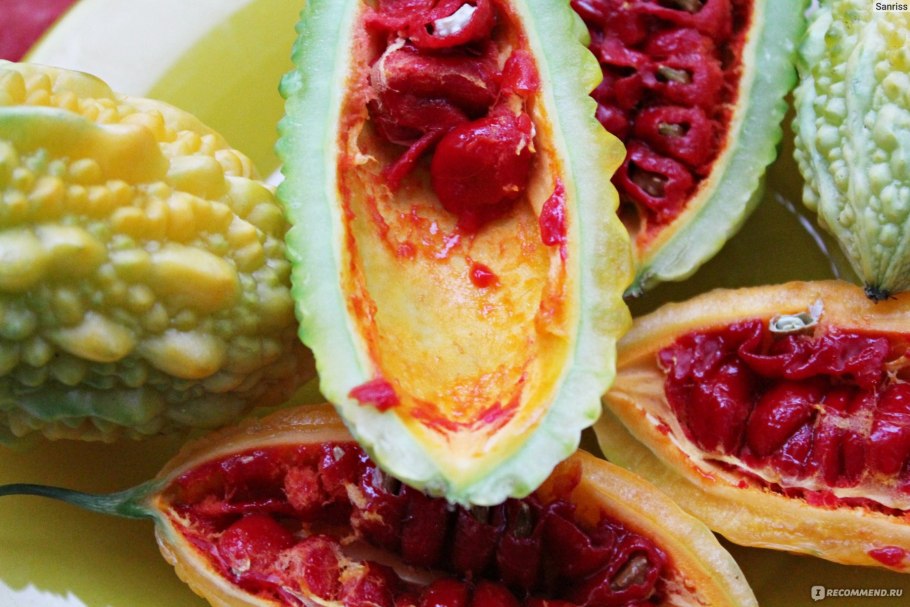 Момордика (индийский гранат) Дракоша