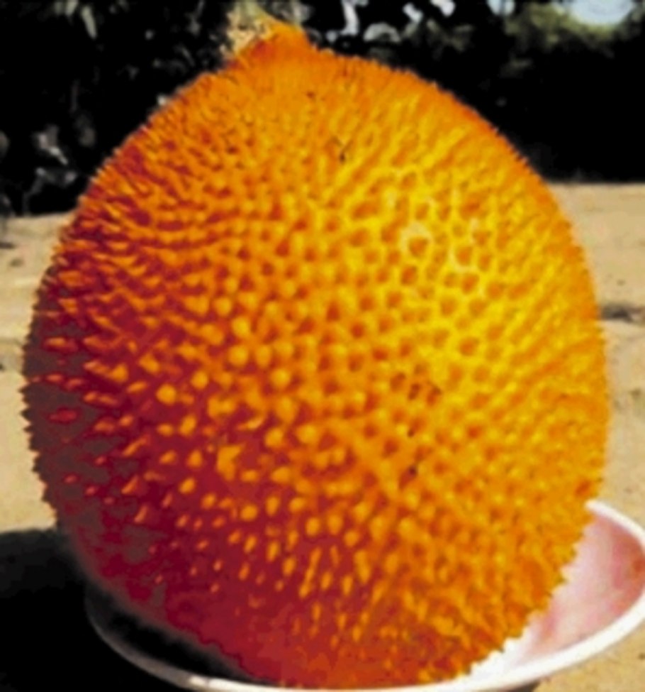 Человечек из банана и клубники