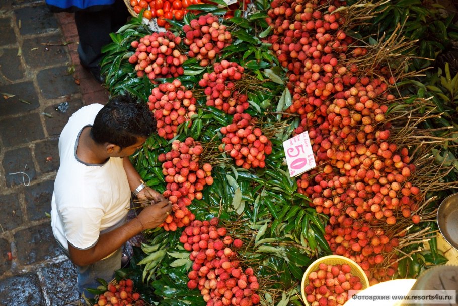 Фрукт мамалыга оранжевый