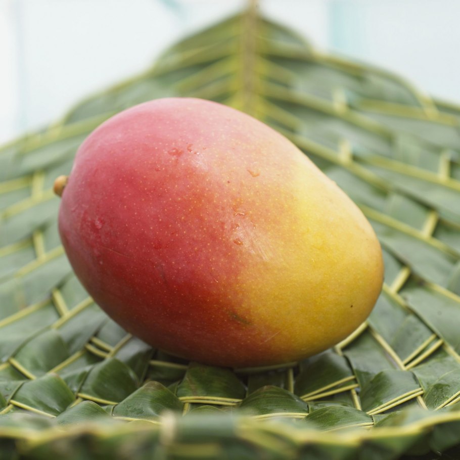 Королевское манго фрукт