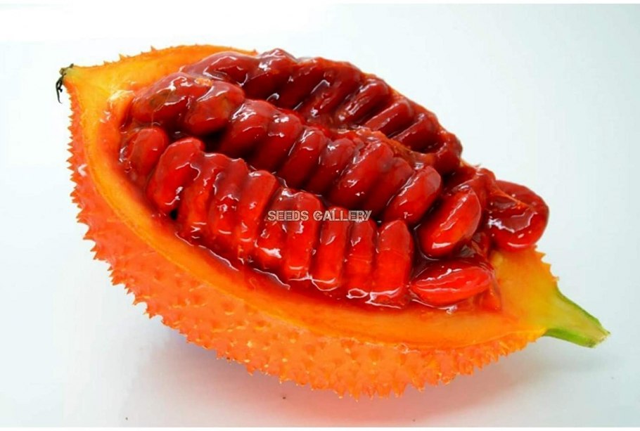 Крымский гранат момордика