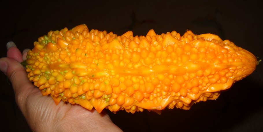 Крымский гранат момордика