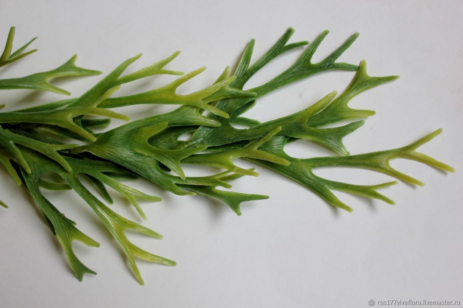 Папоротник Стегхорн (Олений Рог) искусственный