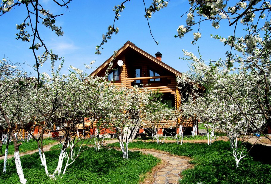 Вишневый сад