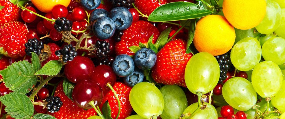 Фрукты панорама