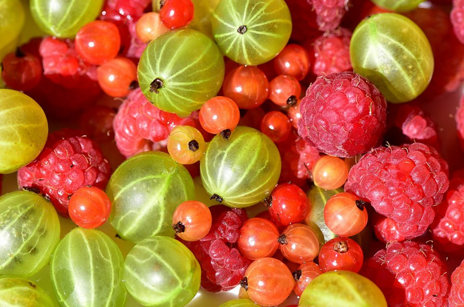 Малина ежевика крыжовник