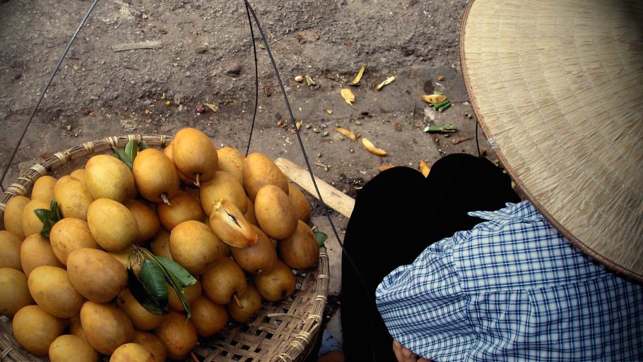 Sapodilla фрукт на рынке