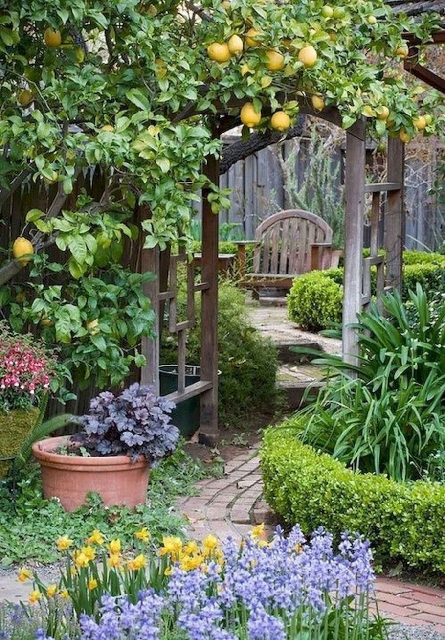 Гарден сад Garden Sad