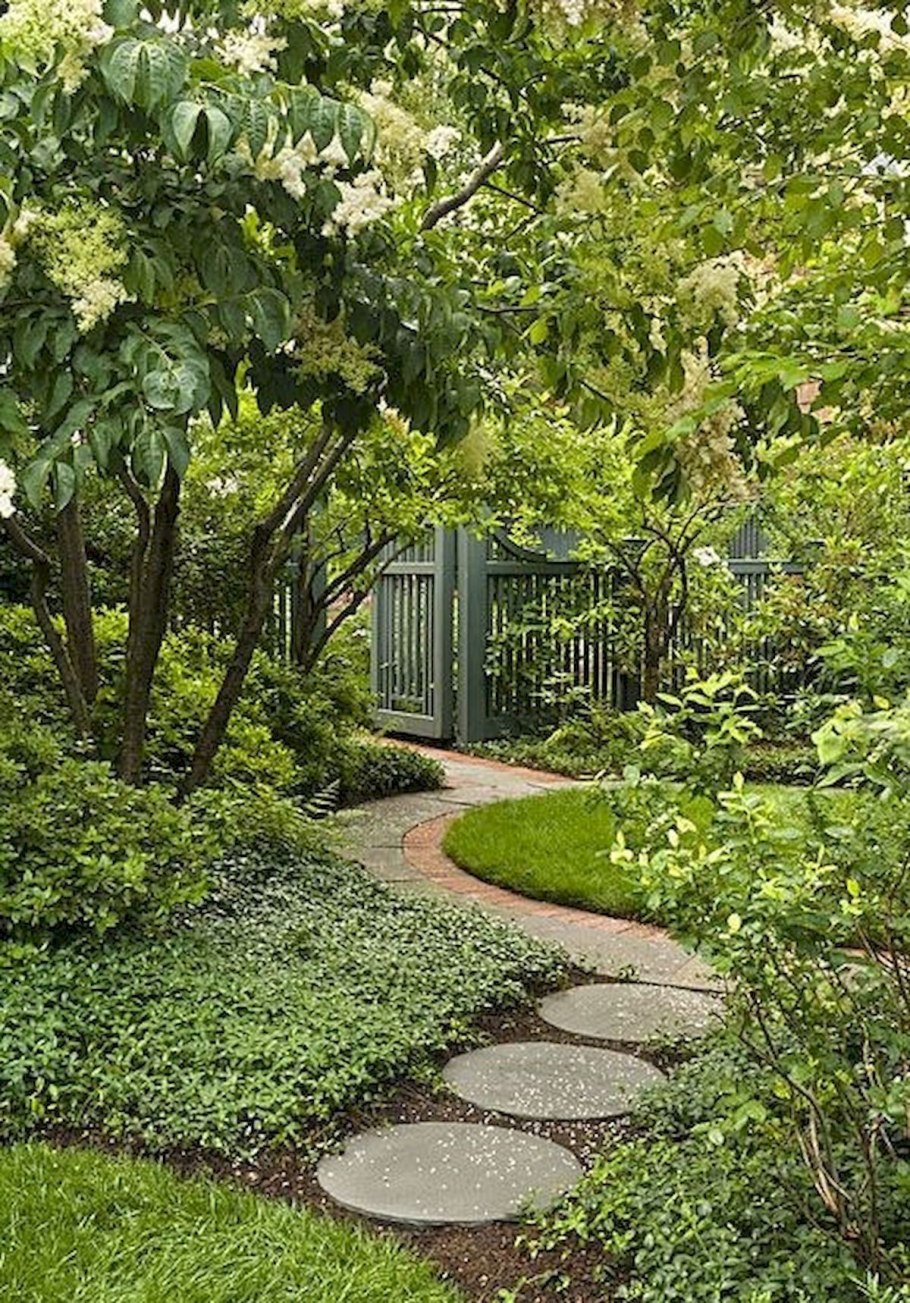 Гарден сад Garden Sad