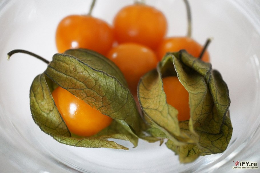 Физалиса ягоды