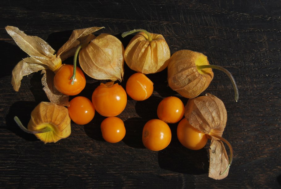 Физалис перуанский