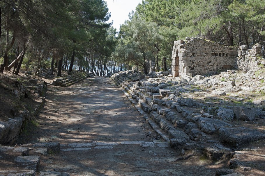 Фазелис антик Кенти