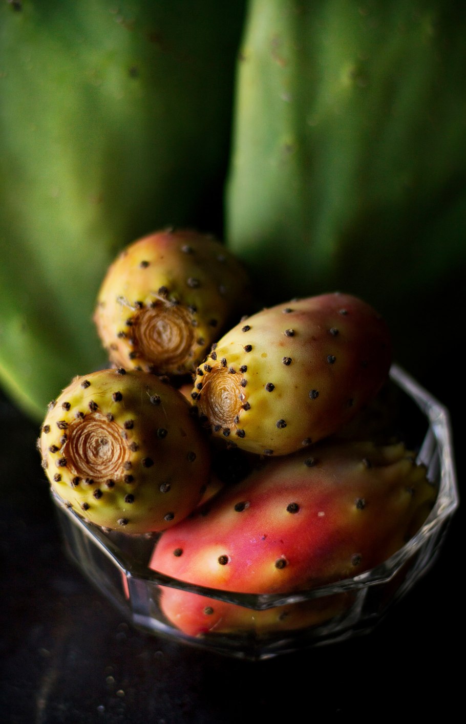 Кактус Нопаль в Мексике