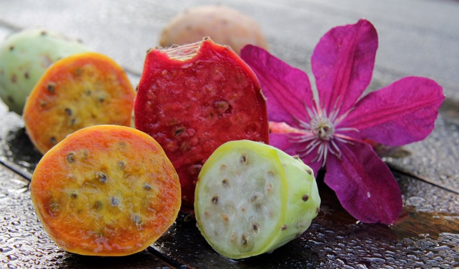 Плоды кактуса опунция